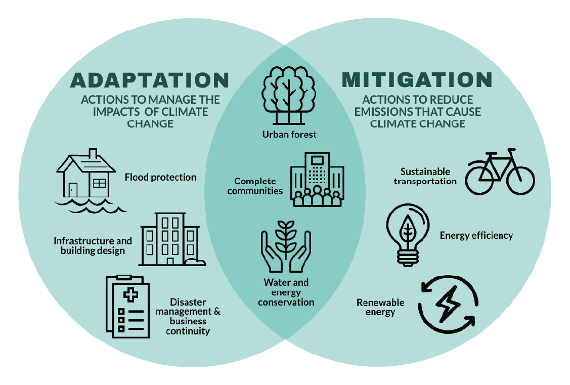 Two overlapping green circles. The left category is titled Adaptation: actions to manage the impacts of climate change. Listed beneath is flood protection, infrastructure and building design, and disaster management and business continuity. The right category is titled Mitigation: actions to reduce emissions that cause climate change. Listed beneath is sustainable transportation, energy efficiency, and renewable energy. The middle category (in the overlap of the two circles) is listed urban forest, complete
