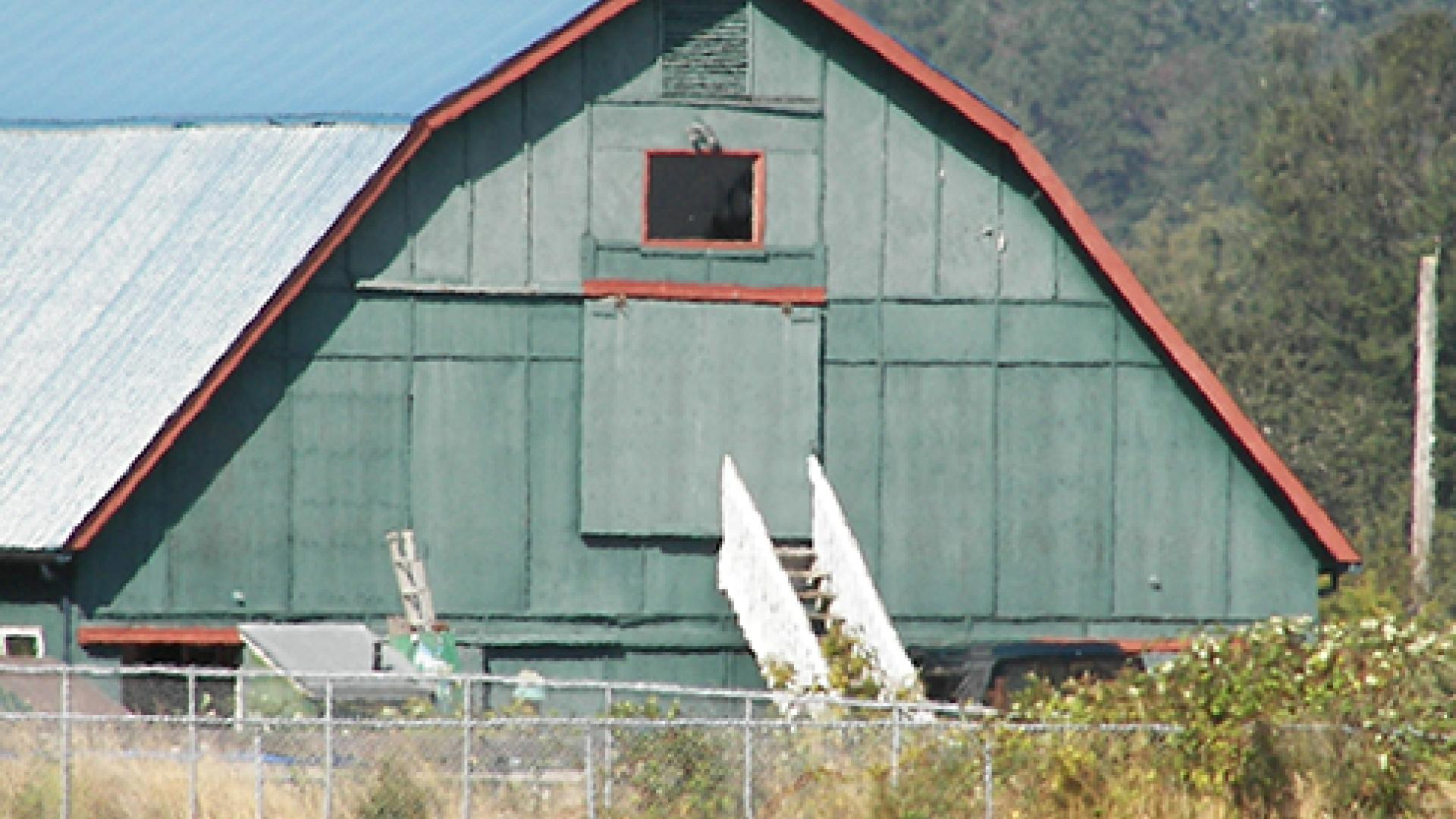 Green barn with a blue roof, set against a backdrop of trees and grassy field.