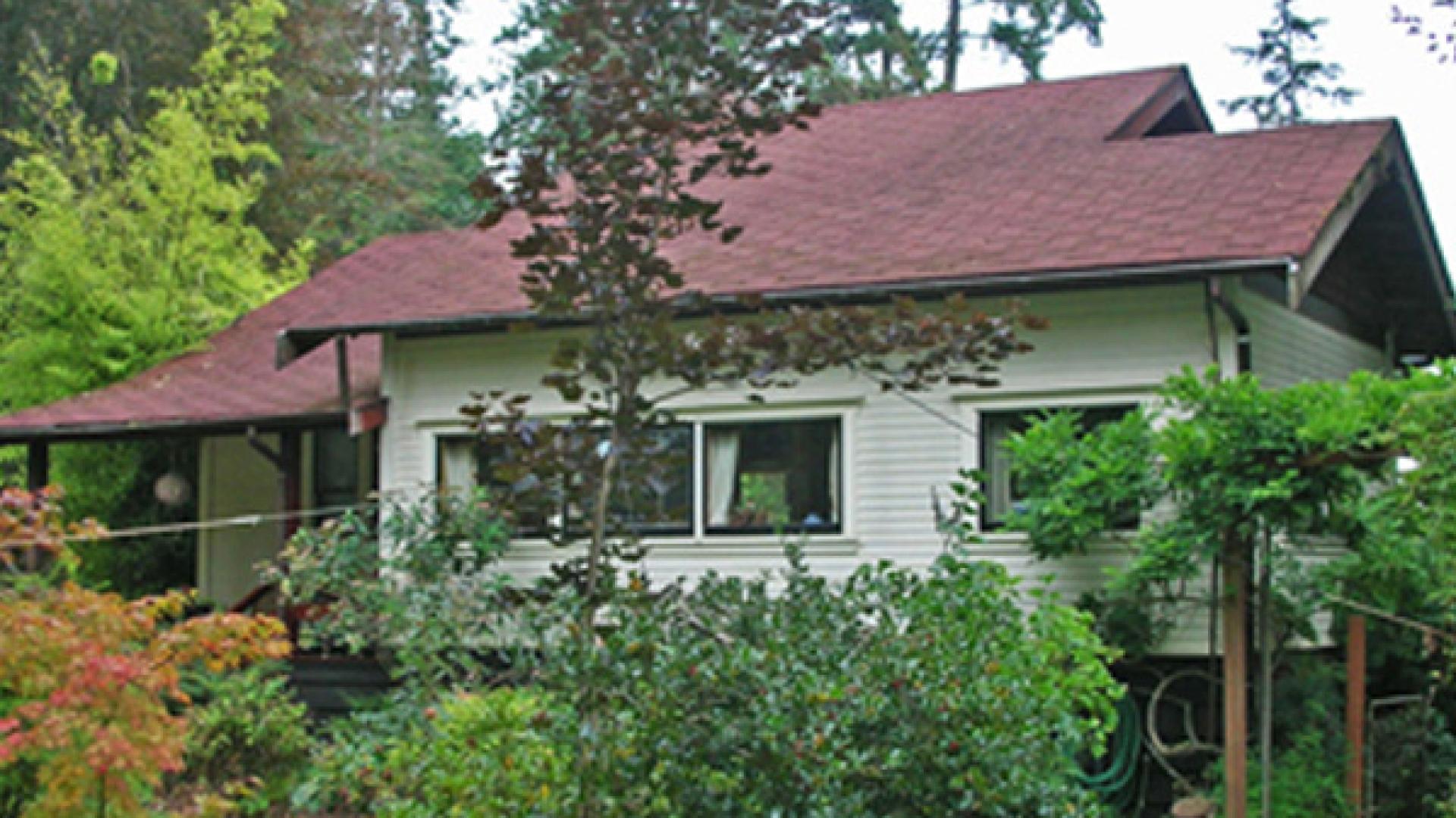 Single-storey house surrounded by lush greenery and trees.
