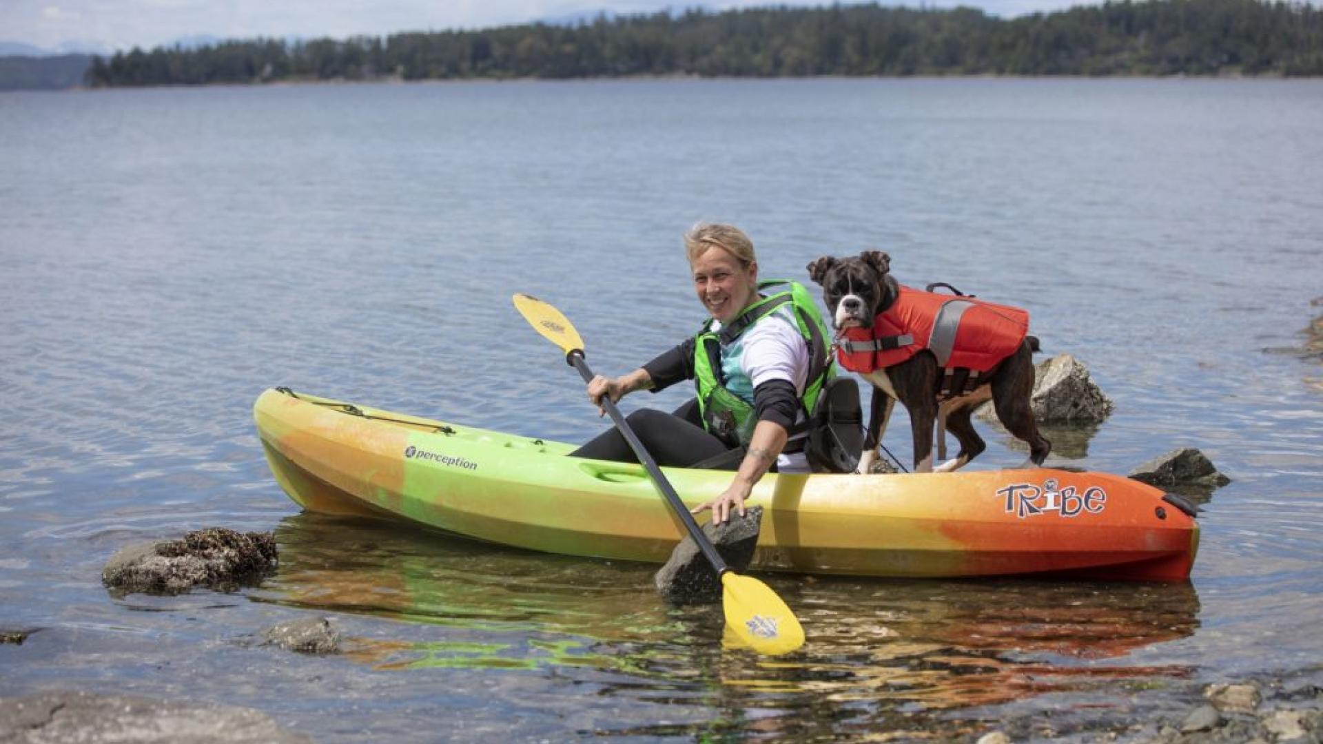Person kayaking on a colourful kayak with a dog in a life jacket by the shore.