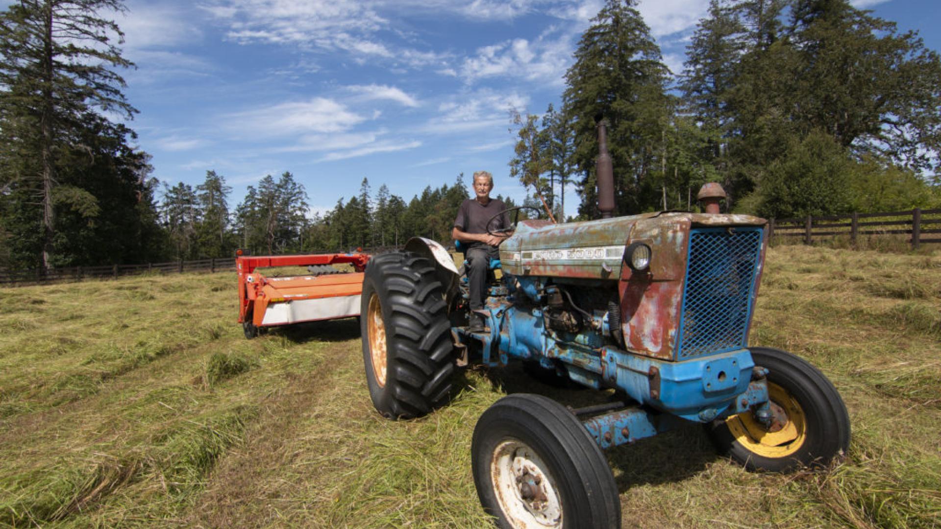 Rusty blue tractor in a green field with two people and a red farming implement.