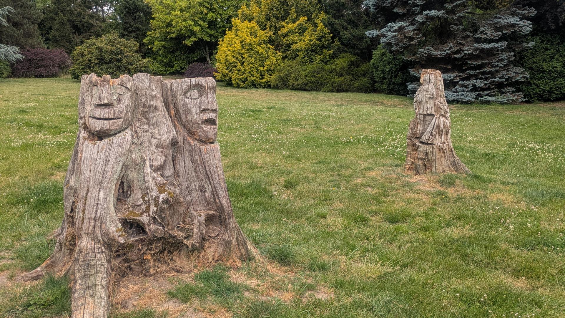 On a grassy lawn sit two wooden stumps with faces carved into the wood.