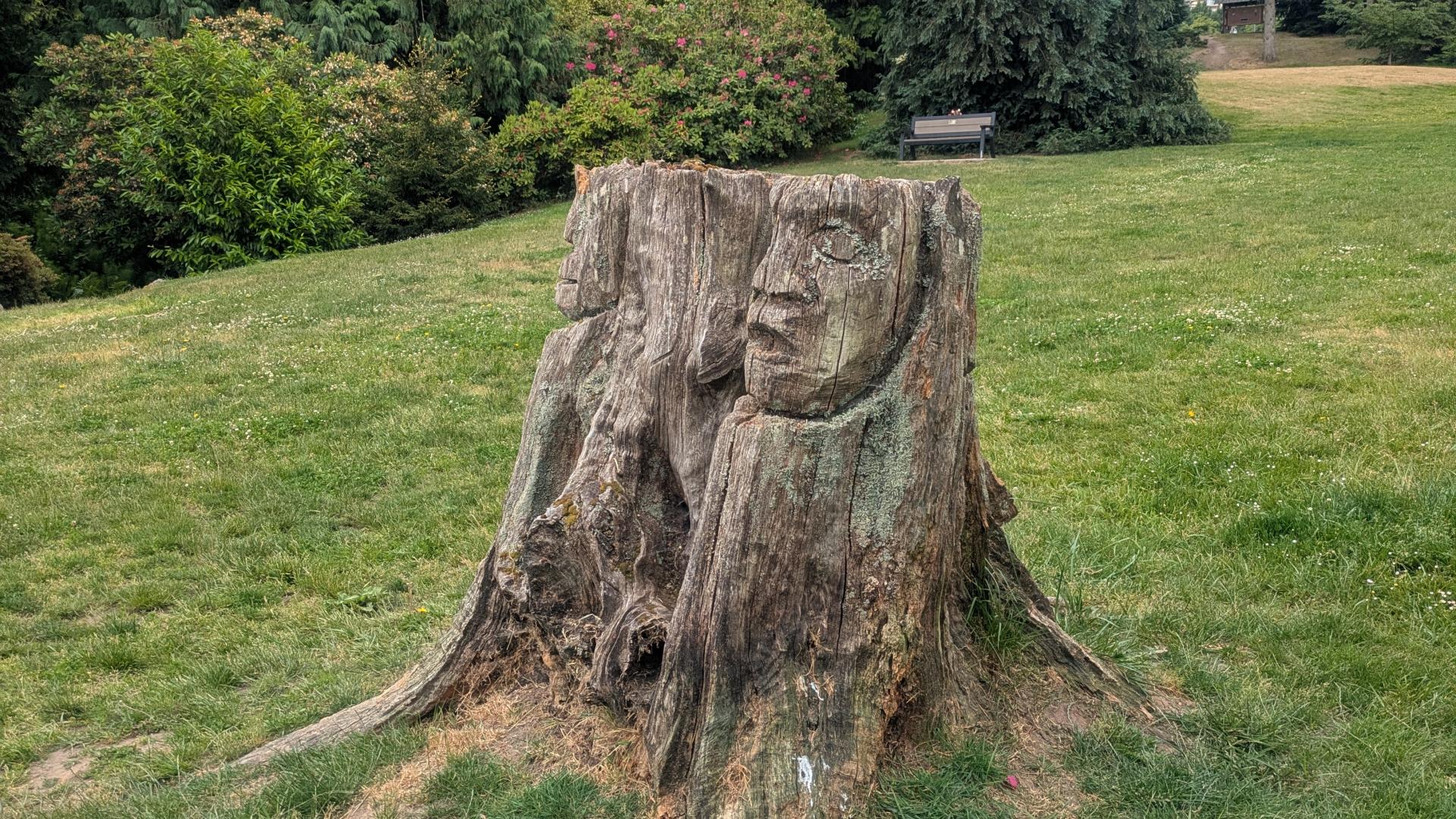 face carved into wooden stump on a grassy lawn.
