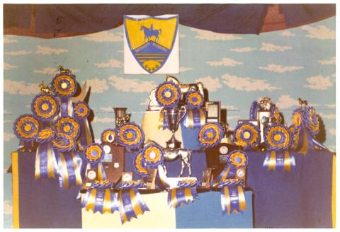 Trophies and ribbons on display.