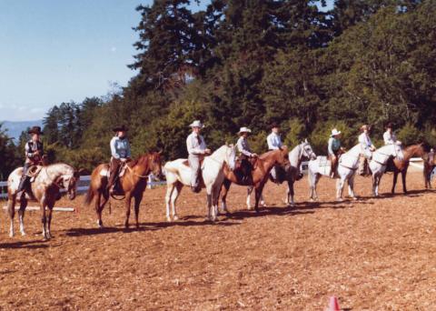 In a horse-riding corral are many horses and riders in a line, preparing for a competition.