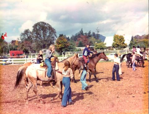 In a horse-riding corral on a sunny day are several horses and riders preparing for a race.