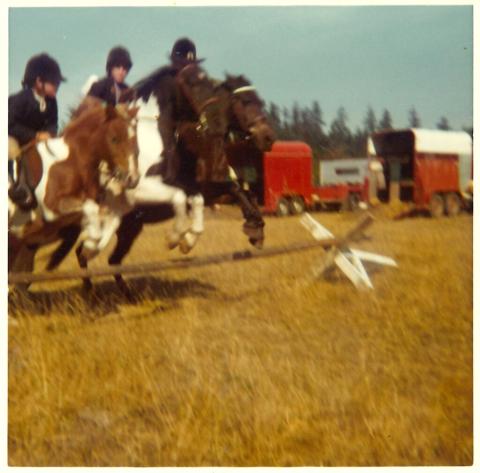 Three horses and riders in a field jump over the same cavaletti.