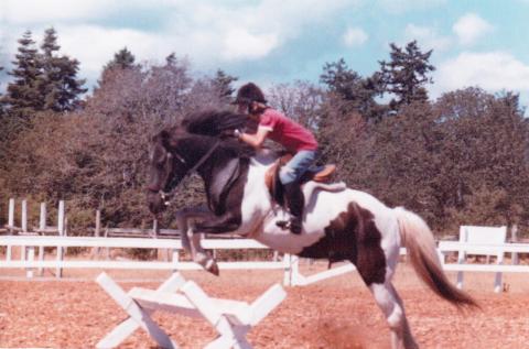 a young boy on a horse jumping over a cavaletti.