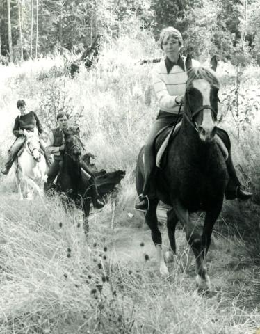 Three horses and riders riding through an overgrown field on a sunny day.