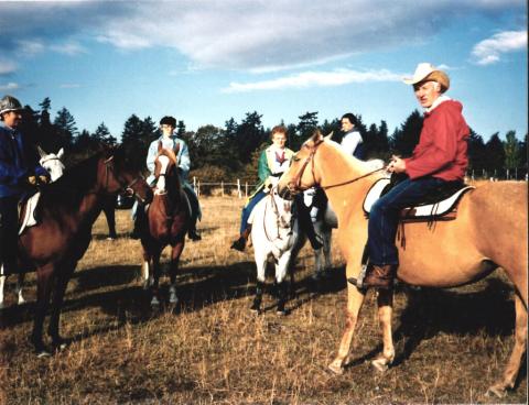 Several horses and riders chatting.