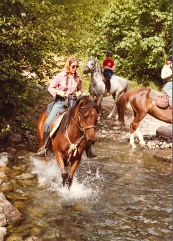 Lady riding a horse in a shallow stream