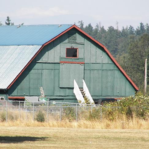 Green barn with a blue roof, set against a backdrop of trees and grassy field.