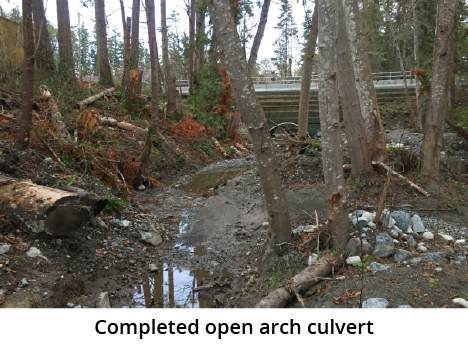 A forested area with fallen trees, rocks, and a small puddle near a distant road.