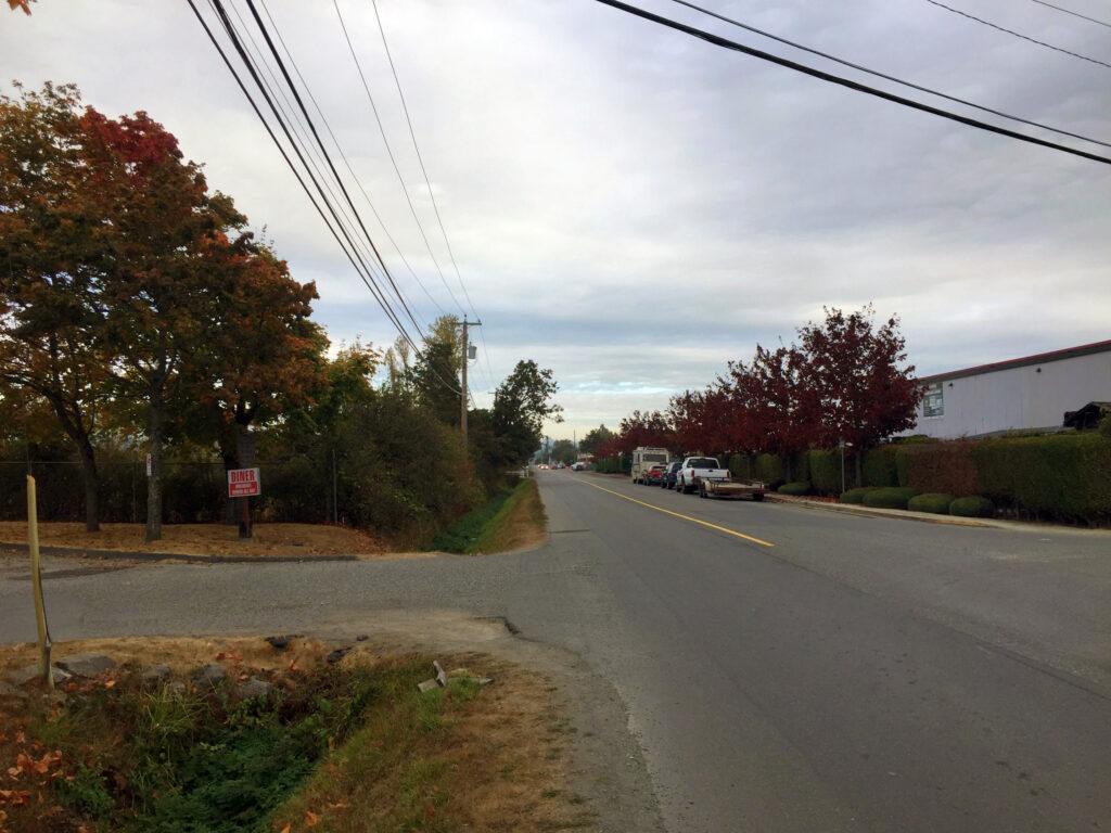 Quiet street lined with trees in autumn colours, overcast sky in the background.