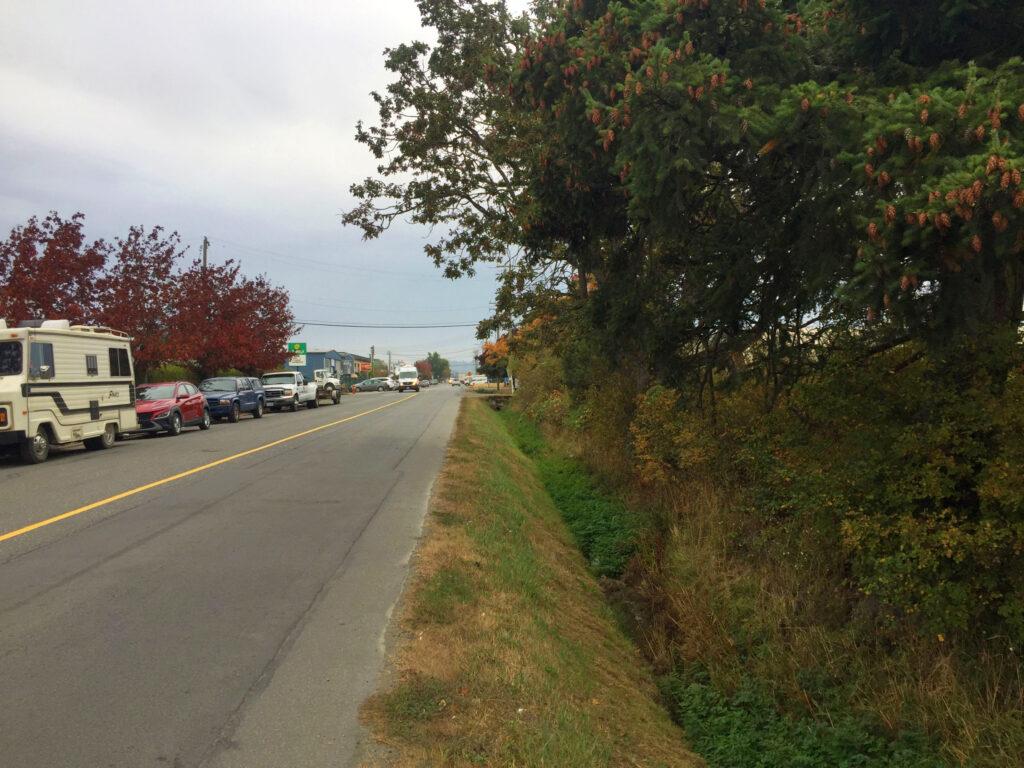 A quiet road lined with parked vehicles and trees, under a cloudy sky.