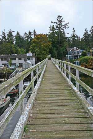 Wooden walkway leading through a serene waterfront, surrounded by lush trees and buildings.