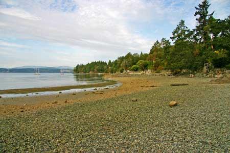 Rocky shoreline with trees and calm water under a cloudy sky.