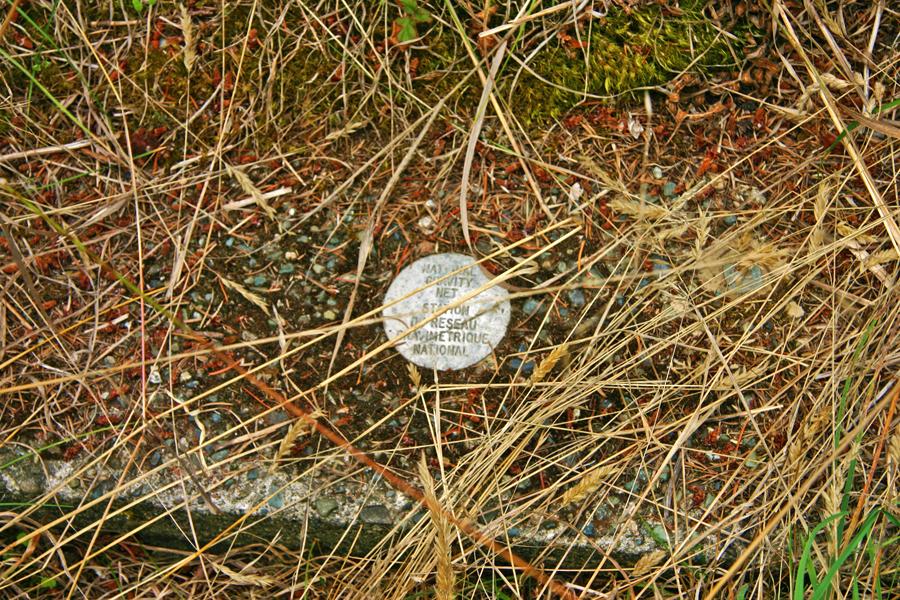 A weathered stone with a circular white marker, surrounded by tall grass and dirt.