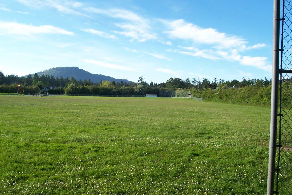 Expansive green soccer field under a clear blue sky with distant mountains.